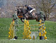 Curcio Carry Money TosTour2013- S5 2915 : Arezzo, Arezzo Equestrian Centre, Carry Money, Curcio Serena, Toscana Tour 2013, foto di Stefano Secchi ©
